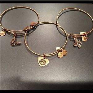 Alex and Ani Trio